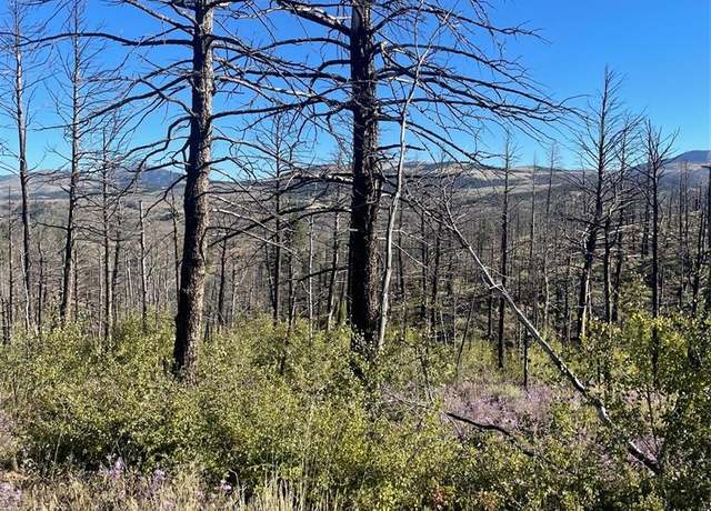 Property at Wagon Mesa Loop, Fort Garland, CO 81133