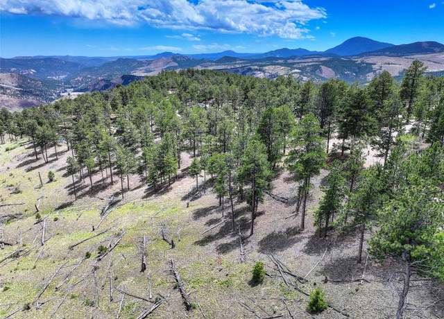 Property at 54 Holmes Gulch Rd, Bailey, CO 80421
