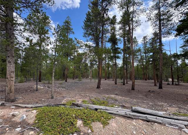 Property at 719 Peak View Dr, Twin Lakes, CO 81251