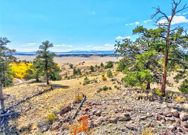 Property at 3431 Dog Chief Trl, Hartsel, CO 80449