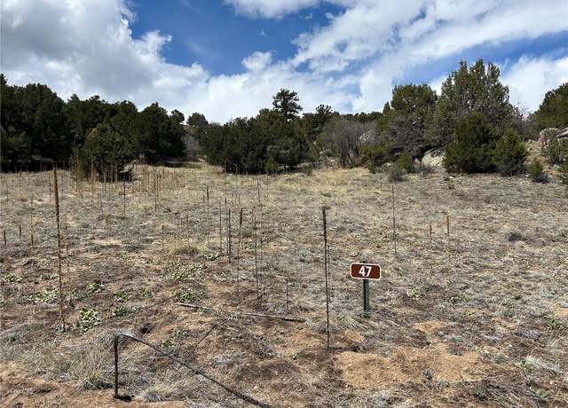 Property at 47 White Cloud Dr, Cotopaxi, CO 81223