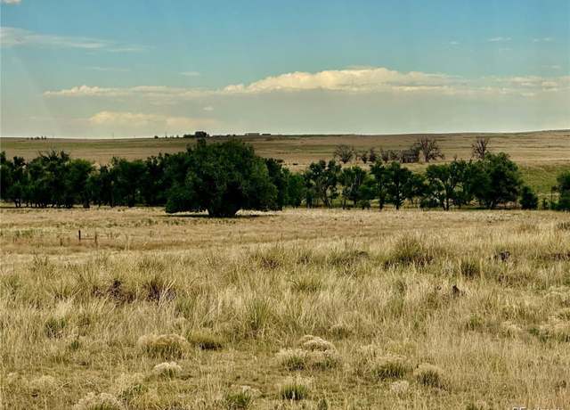 Property at 13414 Buck Draw Pt, Kiowa, CO 80102