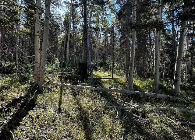 Property at Lot 2652 Petito Dr, Fort Garland, CO 81133
