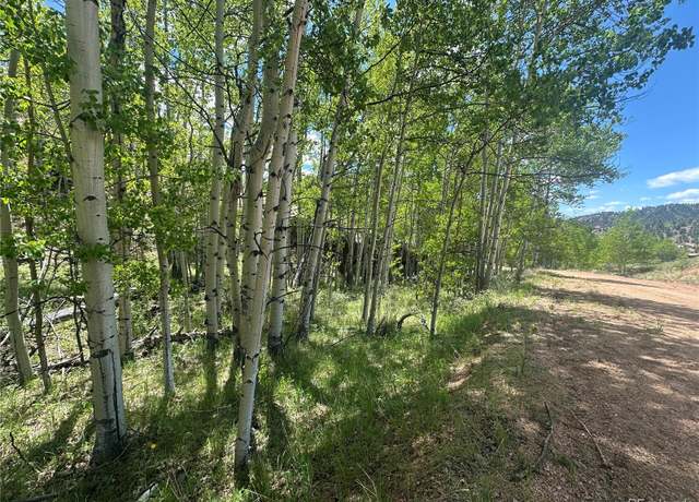 Property at 524 Buckhorn Rd, Cripple Creek, CO 80813