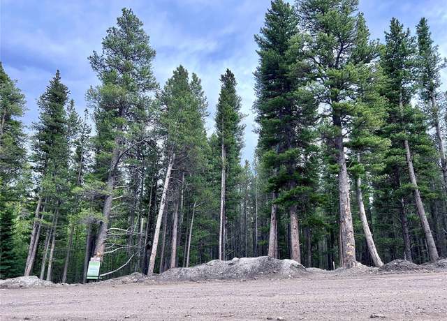 Property at Lot 171 Lower Forest Rd, Idaho Springs, CO 80452