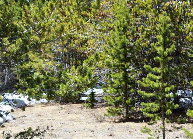Property at Group 12 Lamartine Rd, Idaho Springs, CO 80452