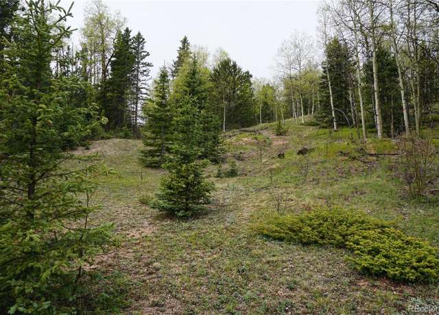 Property at Vacant Land, Cripple Creek, CO 80813