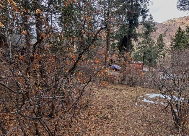 Property at Mountain Rd, Cascade, CO 80809
