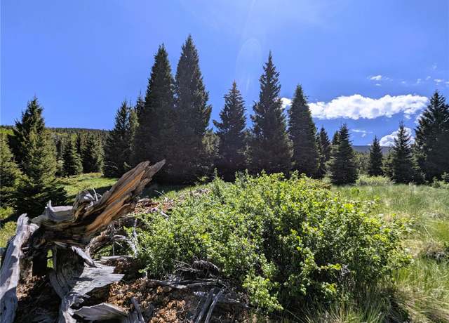 Property at 3119-3121 Segal Pl, Fort Garland, CO 81133