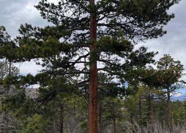 Property at Lot 513 Leslie Loop, Fort Garland, CO 81133