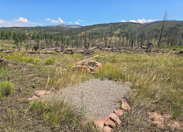 Property at 695 Cogbill Dr, Fort Garland, CO 81133