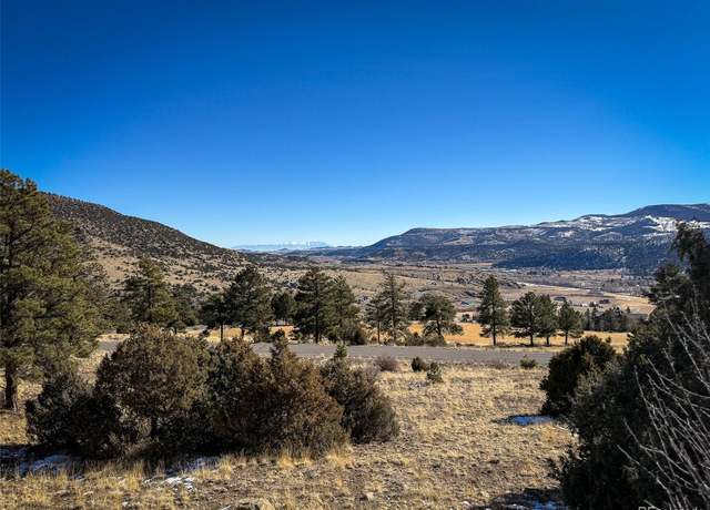Property at 0 Ellingwood Dr, South Fork, CO 81154