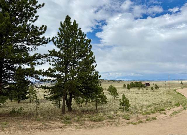 Property at 311 Harness Way, Hartsel, CO 80449