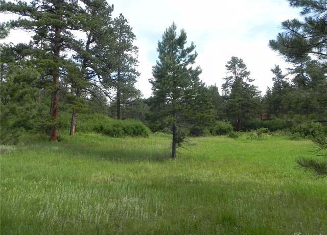 Property at 8448 Crow Pl, Larkspur, CO 80118