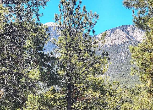 Property at 116 Neal St, Bailey, CO 80421
