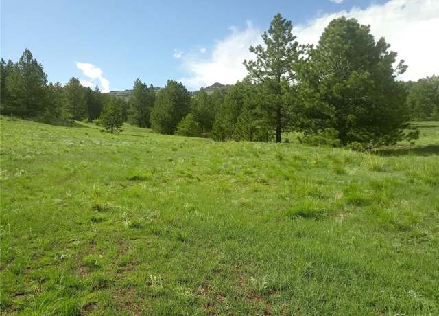 Property at Tbd Post Rd, Guffey, CO 80820