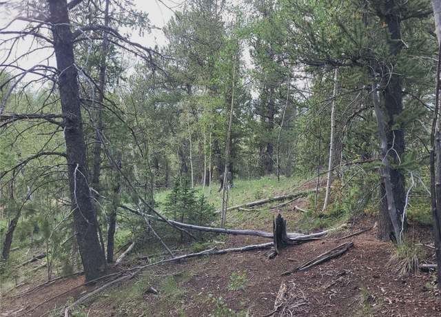Property at 2455 Yorktown Rd, Cripple Creek, CO 80813