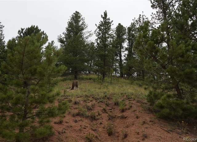 Property at 557 Gold King Dr, Cripple Creek, CO 80813