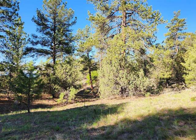 Property at 110 Dead Log Ln, Cotopaxi, CO 81223