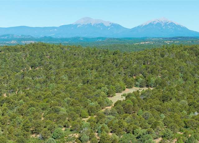 Property at 15536 Ponderosa Loop, Boncarbo, CO 81024