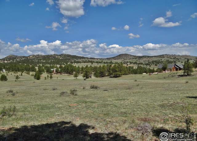 Property at 181 Deadhorse Mountain Ct, Livermore, CO 80536