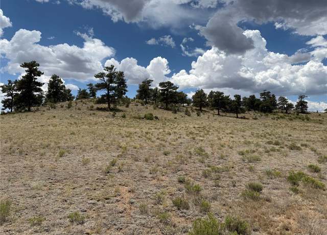 Property at Hohokan Trl, Hartsel, CO 80449