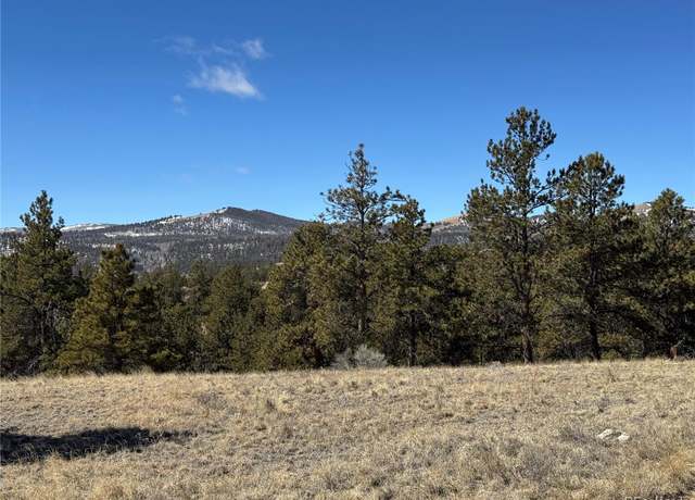 Property at 0 Aspen Trl, Hartsel, CO 80449