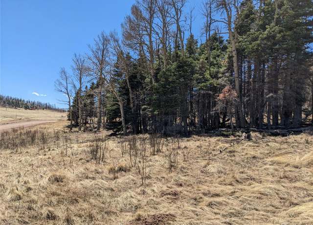 Property at 2056 Forbes Park Rd, Fort Garland, CO 81133