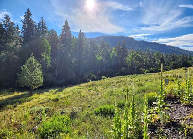 Property at 274 Church Crk, South Fork, CO 81154