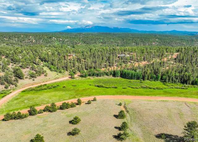 Property at 921 Kiowa Rd, Florissant, CO 80816