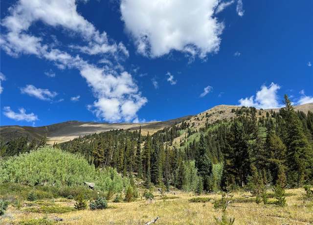 Property at 19518 Dauntless & Dauntless, Leadville, CO 81211