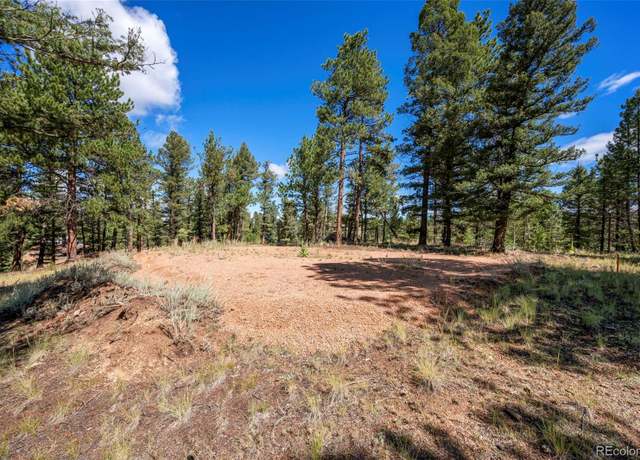 Property at 210 Donzi Trl, Florissant, CO 80816