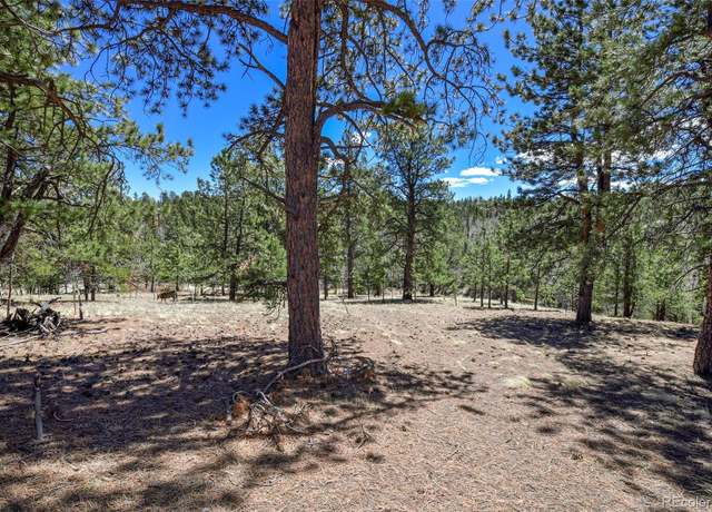 Property at 112 Blue Jay Ln, Florissant, CO 80816