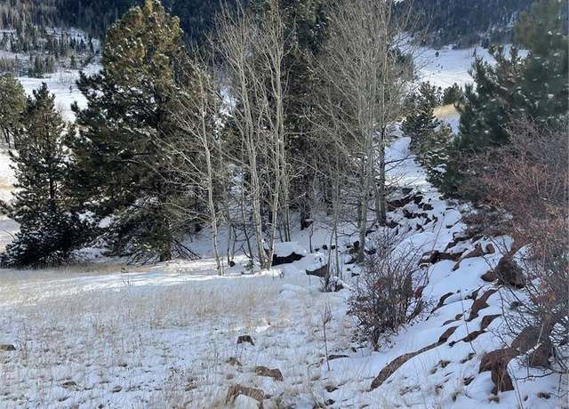 Property at 902 Copper Mountain Dr, Cripple Creek, CO 80813