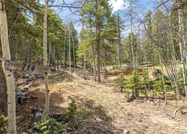 Property at 714 Will Stutley Dr, Divide, CO 80814