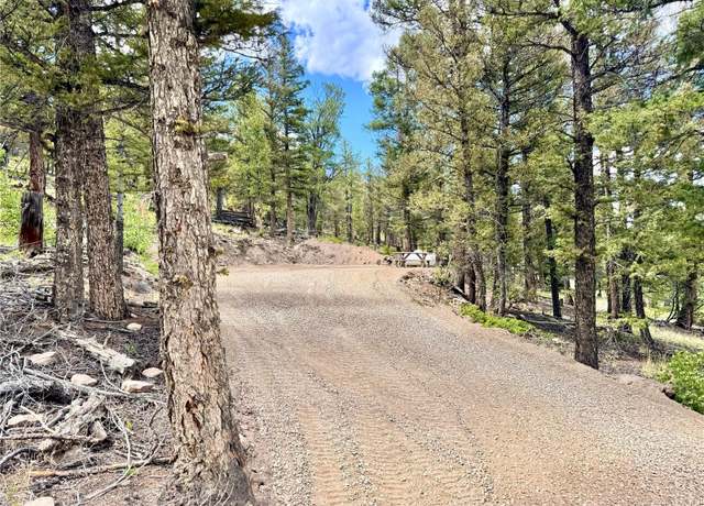 Property at 2843 Redhill Rd, Fairplay, CO 80440