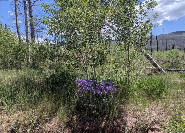 Property at 904,908,909,910 Ueda Pl & Forbes Park Rd, Fort Garland, CO 81133