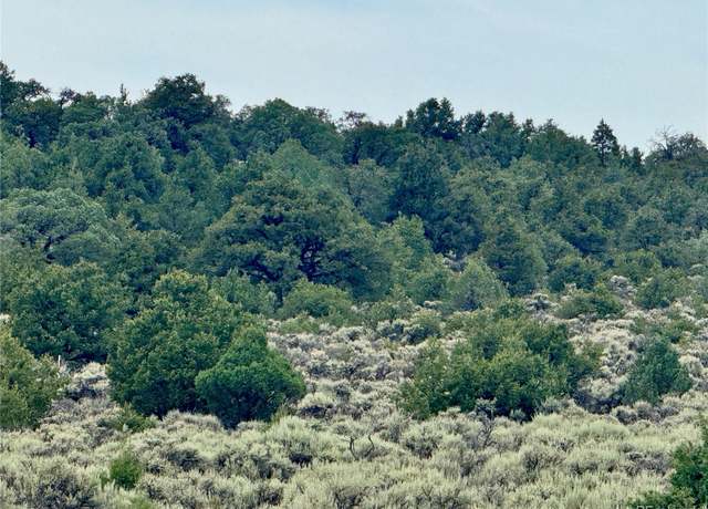 Property at Lot 38 Wildhorse Dr, San Luis, CO 81152