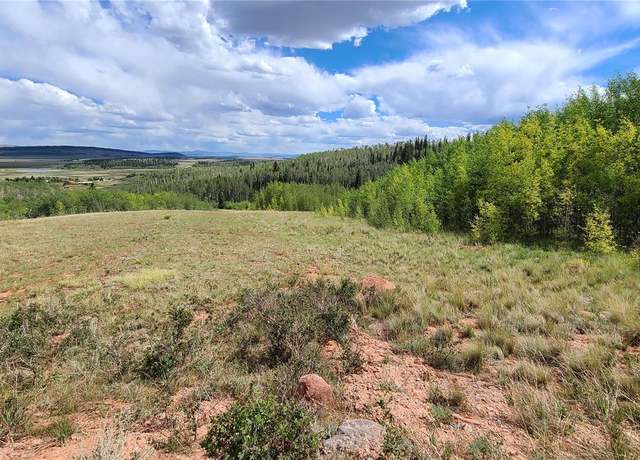 Property at 562 Palmer Peak Dr, Fairplay, CO 80440