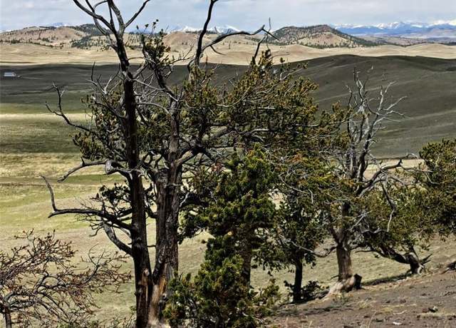 Property at 5250 Uxta Trl, Hartsel, CO 80449