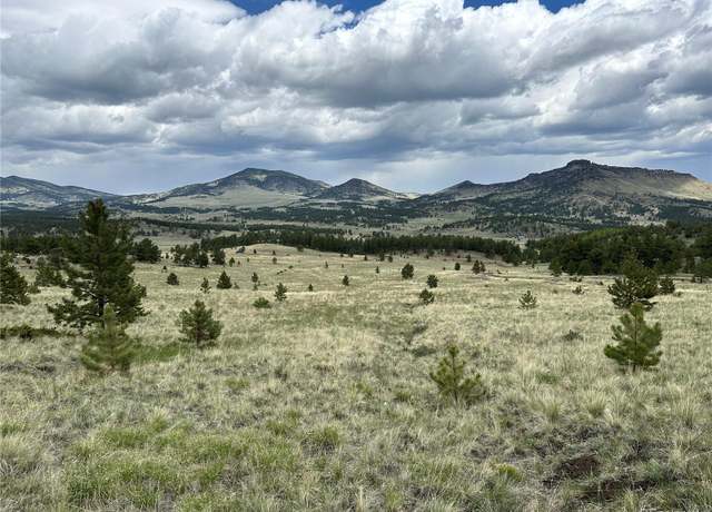 Property at 706 Bristlecone Rd, Guffey, CO 80820