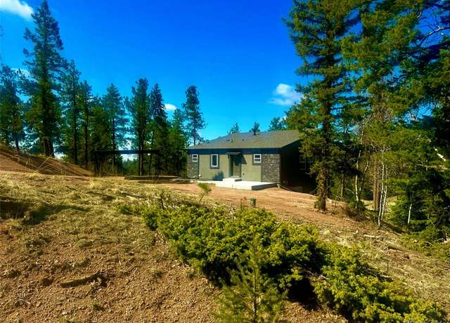 Property at 1328 N Mountain Estates Rd, Florissant, CO 80816, 3 beds, 3 baths