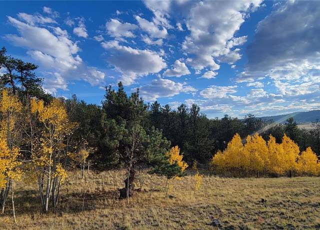 Property at 813 Yellowstone Rd, Hartsel, CO 80449