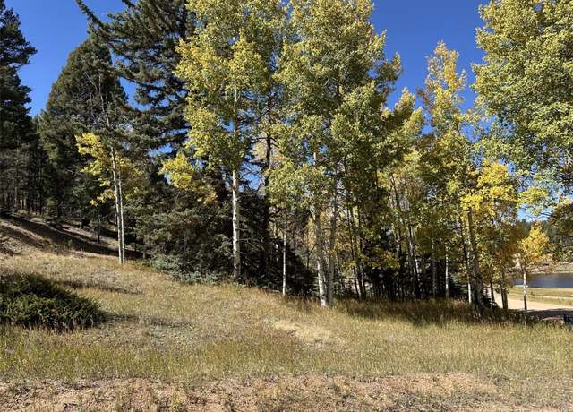 Property at 244 Spring Valley Ln, Florissant, CO 80816