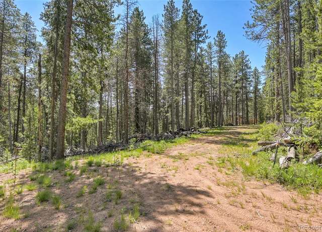 Property at 7 S Wallace Ave, Conifer, CO 80433