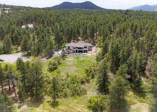 Property at 1988 Lake Dr, Larkspur, CO 80118, 4 beds, 6 baths