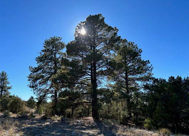Property at 25 Pioneer Rd, Mosca, CO 81144