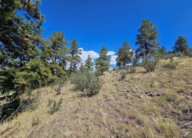 Property at 358 Escondida Dr, South Fork, CO 81154