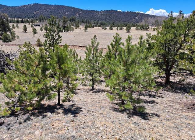 Property at 1038 Costella Dr, Hartsel, CO 80449