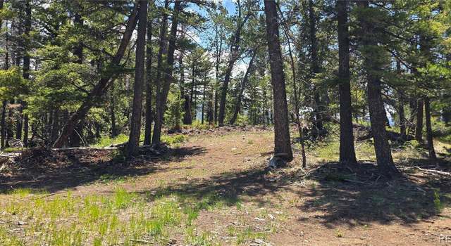 Photo of Lot 5546 Balleroy Rd, Fort Garland, CO 81133
